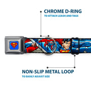 Superman Full Color Blue Seatbelt Buckle Collar - Superman Action Poses/Stars & Stripes