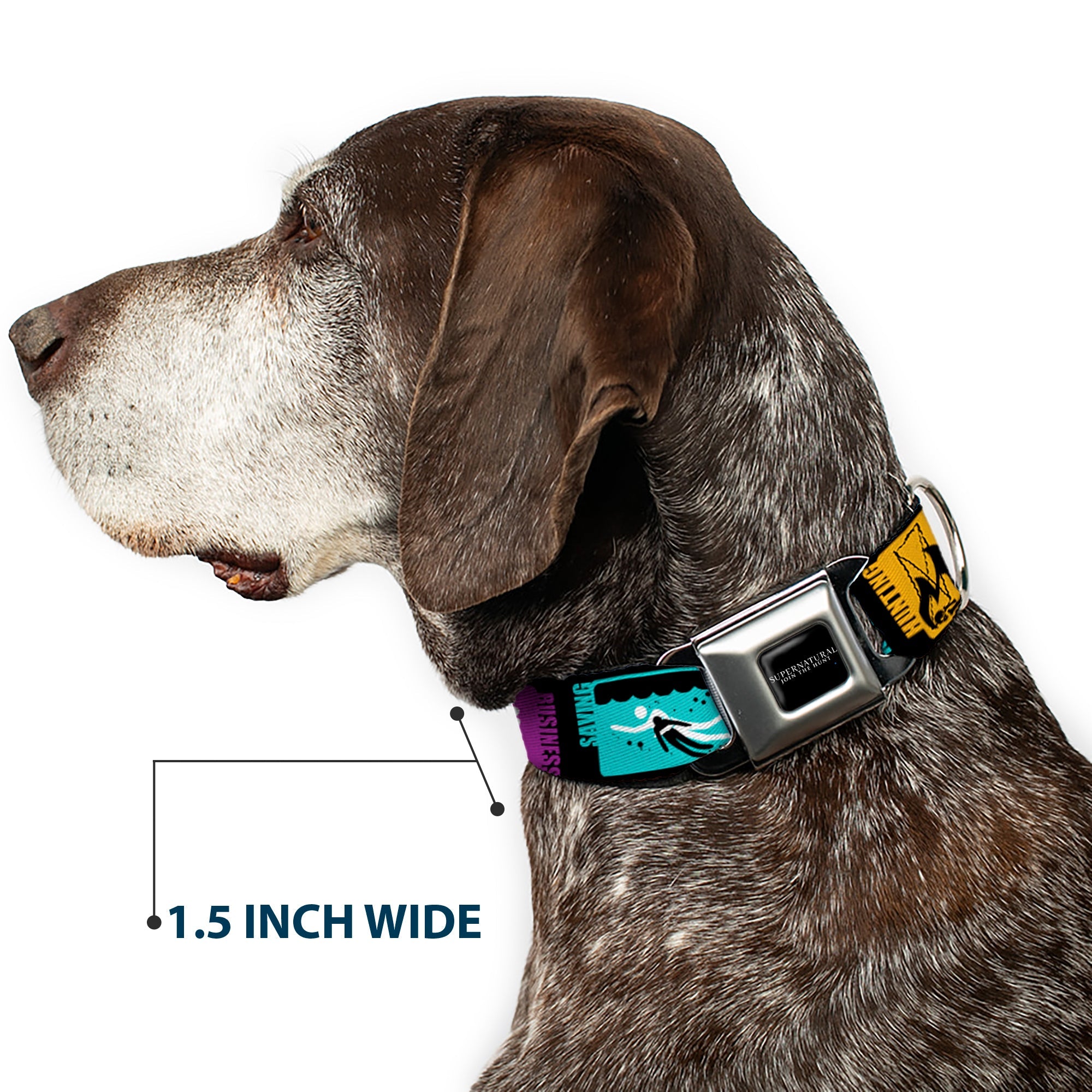 SUPERNATURAL-JOIN THE HUNT Full Color Black/White Seatbelt Buckle Collar - Supernatural SAVING PEOPLE-HUNTING THINGS-FAMILY BUSINESS Blocks Black/Teal/Gold/Purple/White