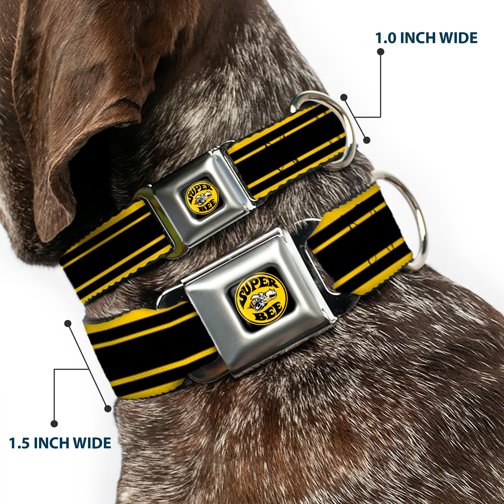 SUPER BEE Logo Full Color Black/Yellow/White Seatbelt Buckle Collar - SUPER BEE Logo/Stripes Black/Yellow/White