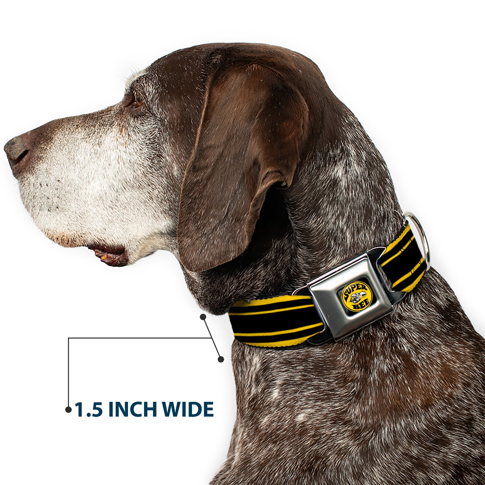 SUPER BEE Logo Full Color Black/Yellow/White Seatbelt Buckle Collar - SUPER BEE Logo/Stripes Black/Yellow/White