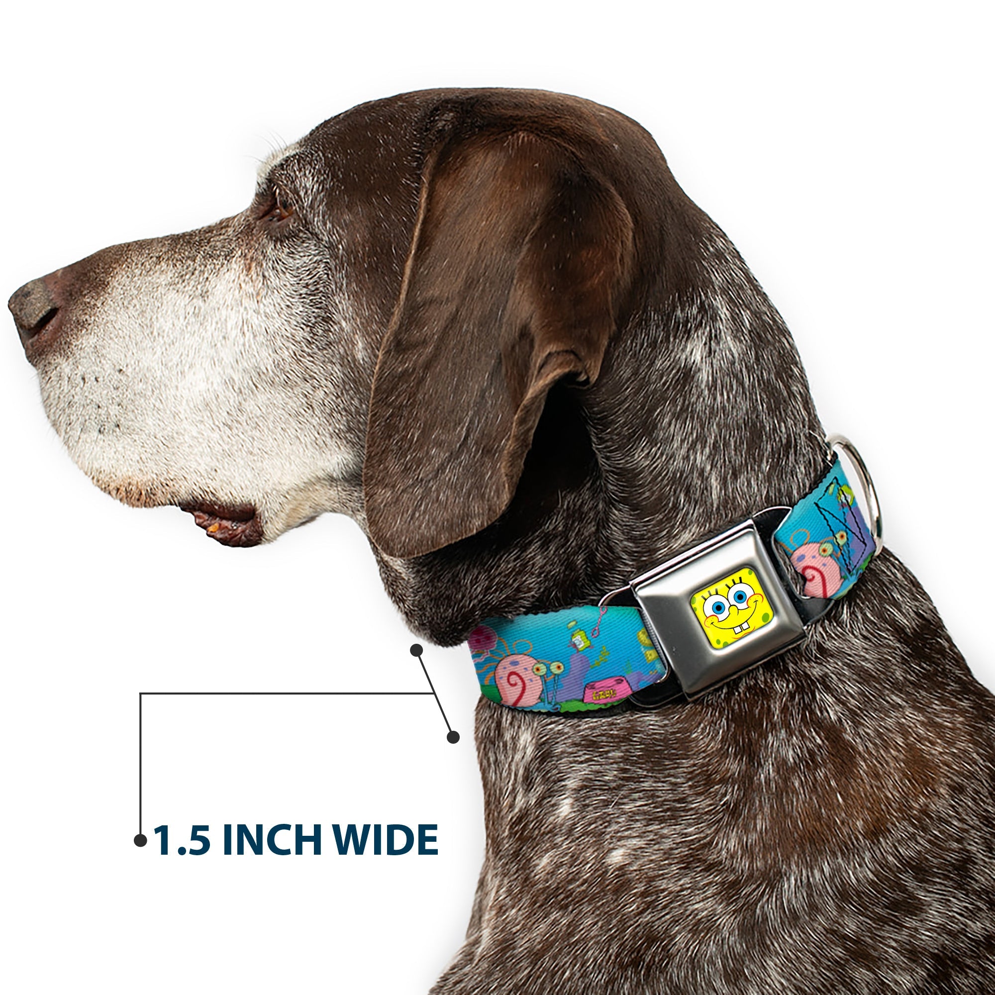 Sponge Bob Face CLOSE-UP Full Color Seatbelt Buckle Collar - SpongeBob and Friends/Logo