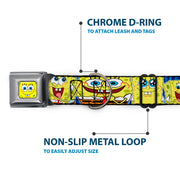 Sponge Bob Face CLOSE-UP Full Color Seatbelt Buckle Collar - SpongeBob Expressions Stripe Blue