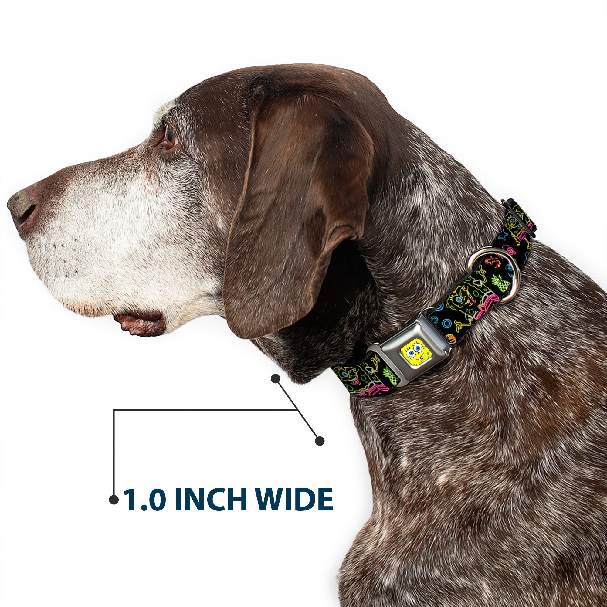 SpongeBob Face CLOSE-UP Full Color Seatbelt Buckle Collar - Electric SpongeBob Poses/Elements Black/Multi Color