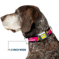 Load image into Gallery viewer, SpongeBob Face CLOSE-UP Full Color Seatbelt Buckle Collar - SpongeBob Pose IT'S SPONGEBOB! Stripe Black/Pink/Blue/White
