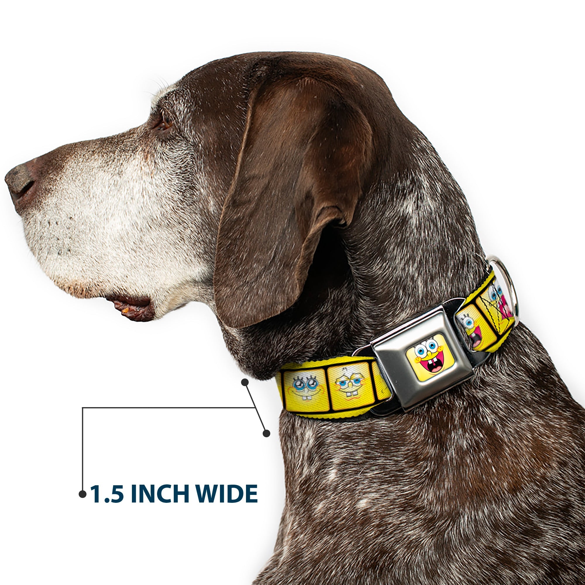 SpongeBob Open Mouth Smile Full Color Seatbelt Buckle Collar - SpongeBob 10-Expressions Filmstrip Yellows/Black/White
