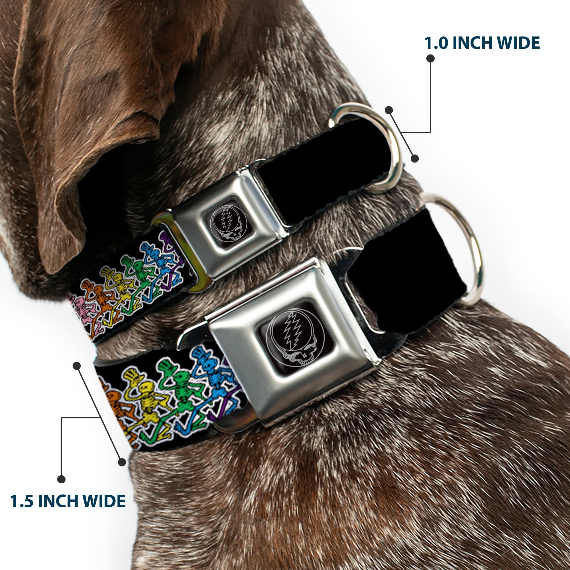 Steal Your Face Seatbelt Buckle Collar - Dancing Skeletons Black/Multi Color