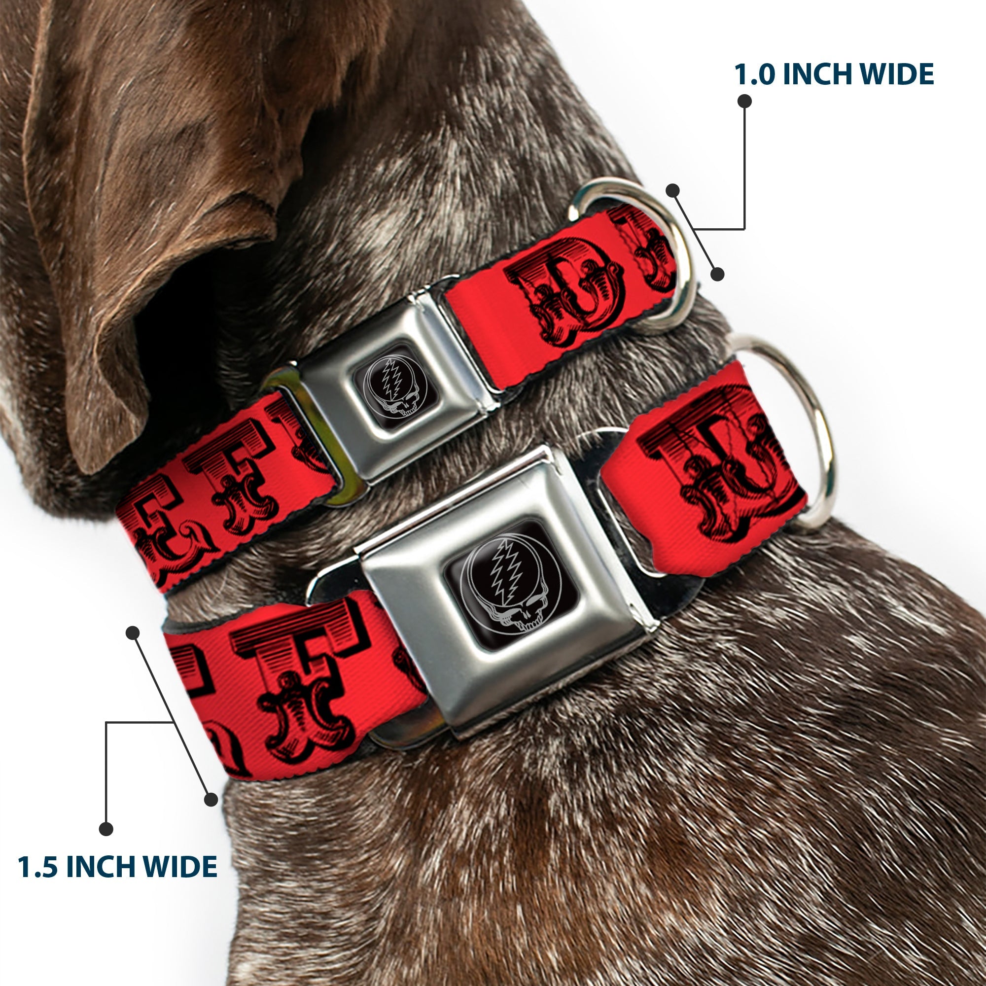 Steal Your Face Seatbelt Buckle Collar - Grateful Dead Text w/Skull & Roses Red