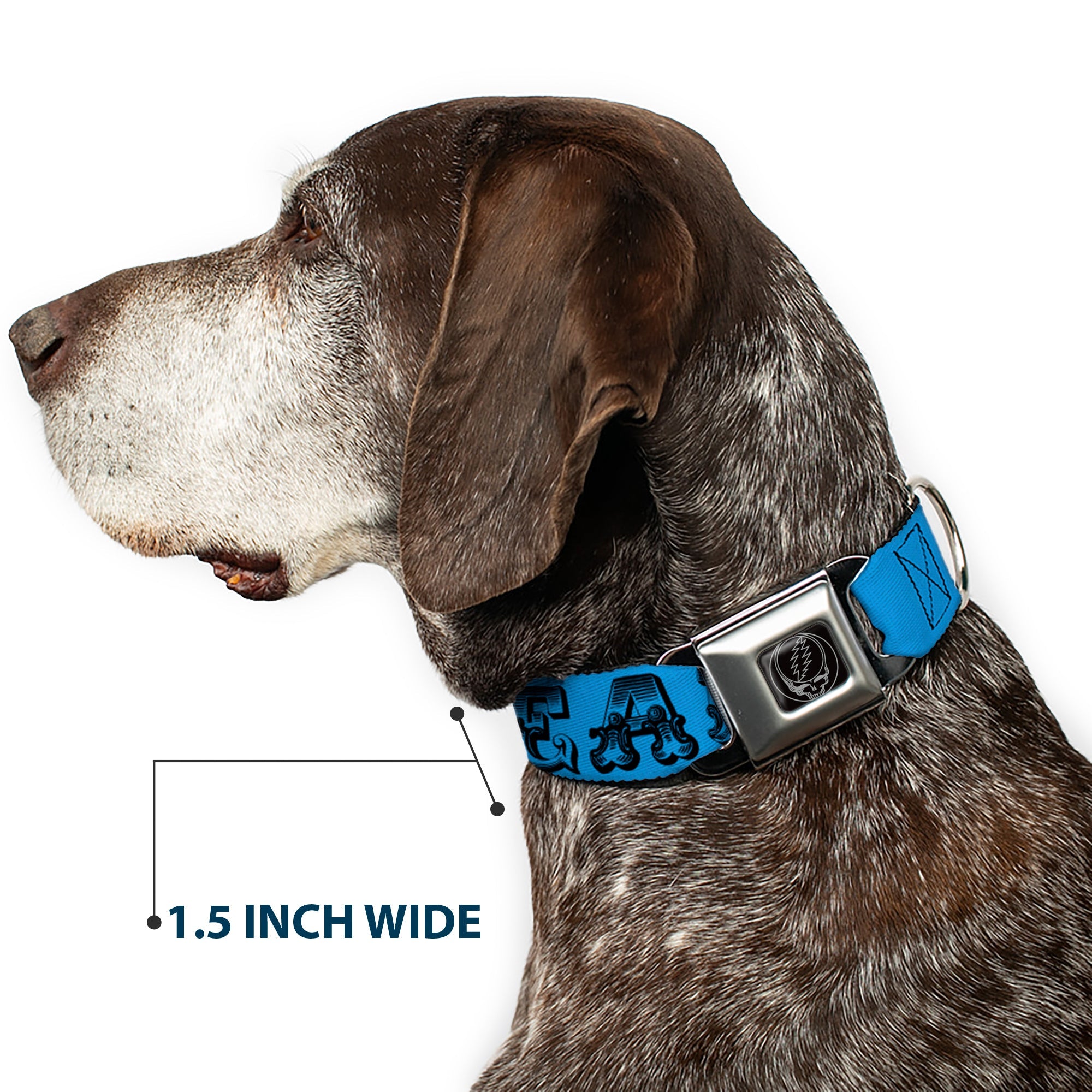 Steal Your Face Seatbelt Buckle Collar - Grateful Dead Text w/Skull & Roses Turquoise