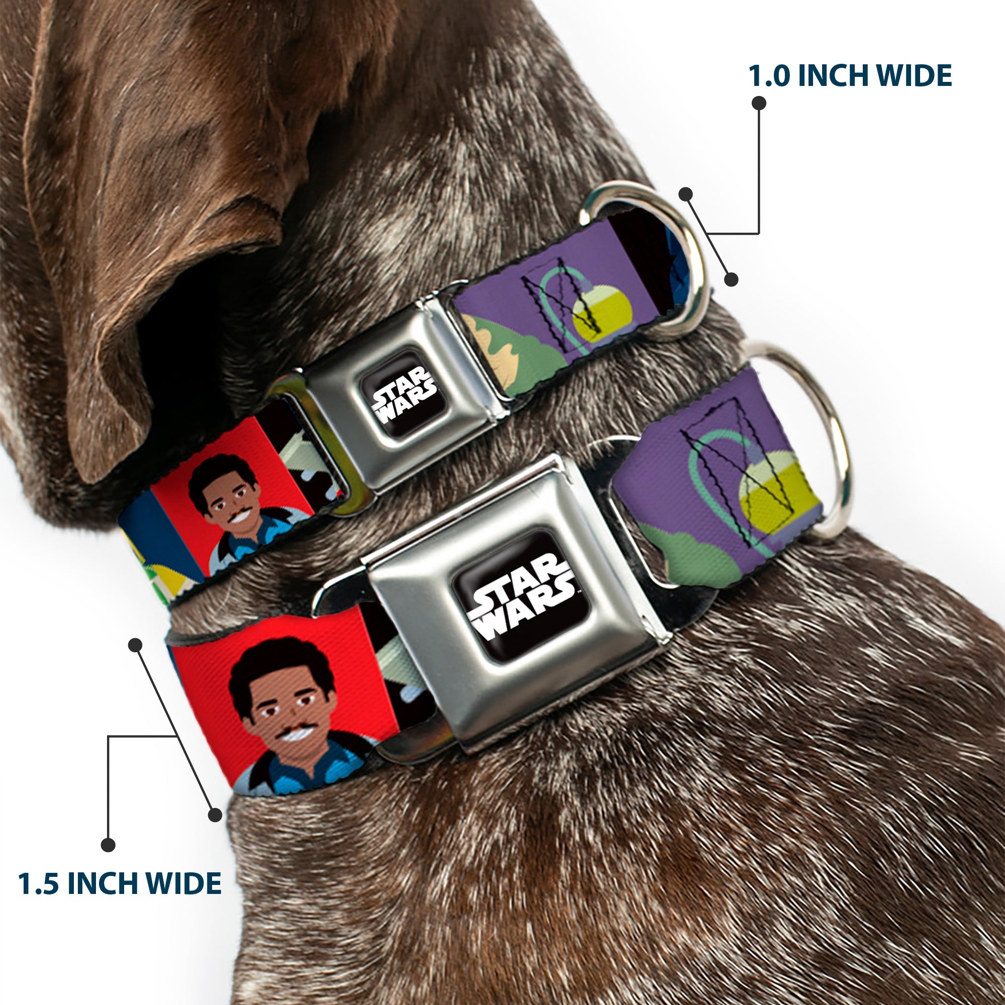 STAR WARS Logo Full Color Black/White Seatbelt Buckle Collar - Star Wars Classic 16-Character Pose Blocks Multi Color