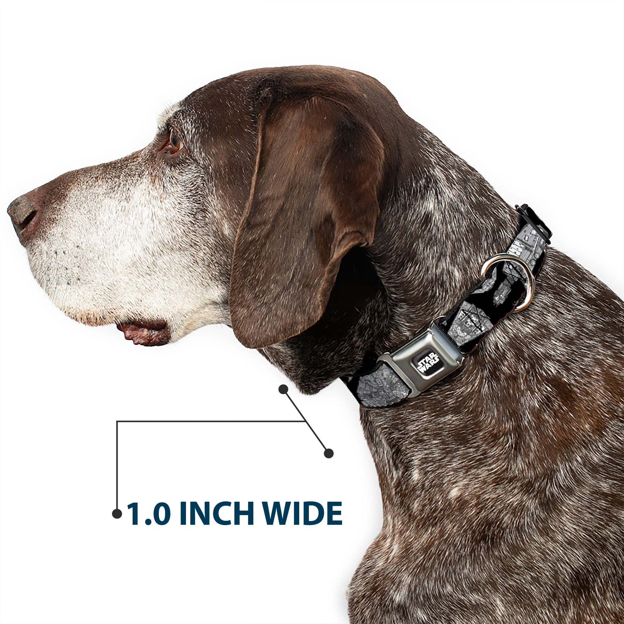 STAR WARS Logo Full Color Black/White Seatbelt Buckle Collar - Star Wars Ships and Vehicles Black/Grays