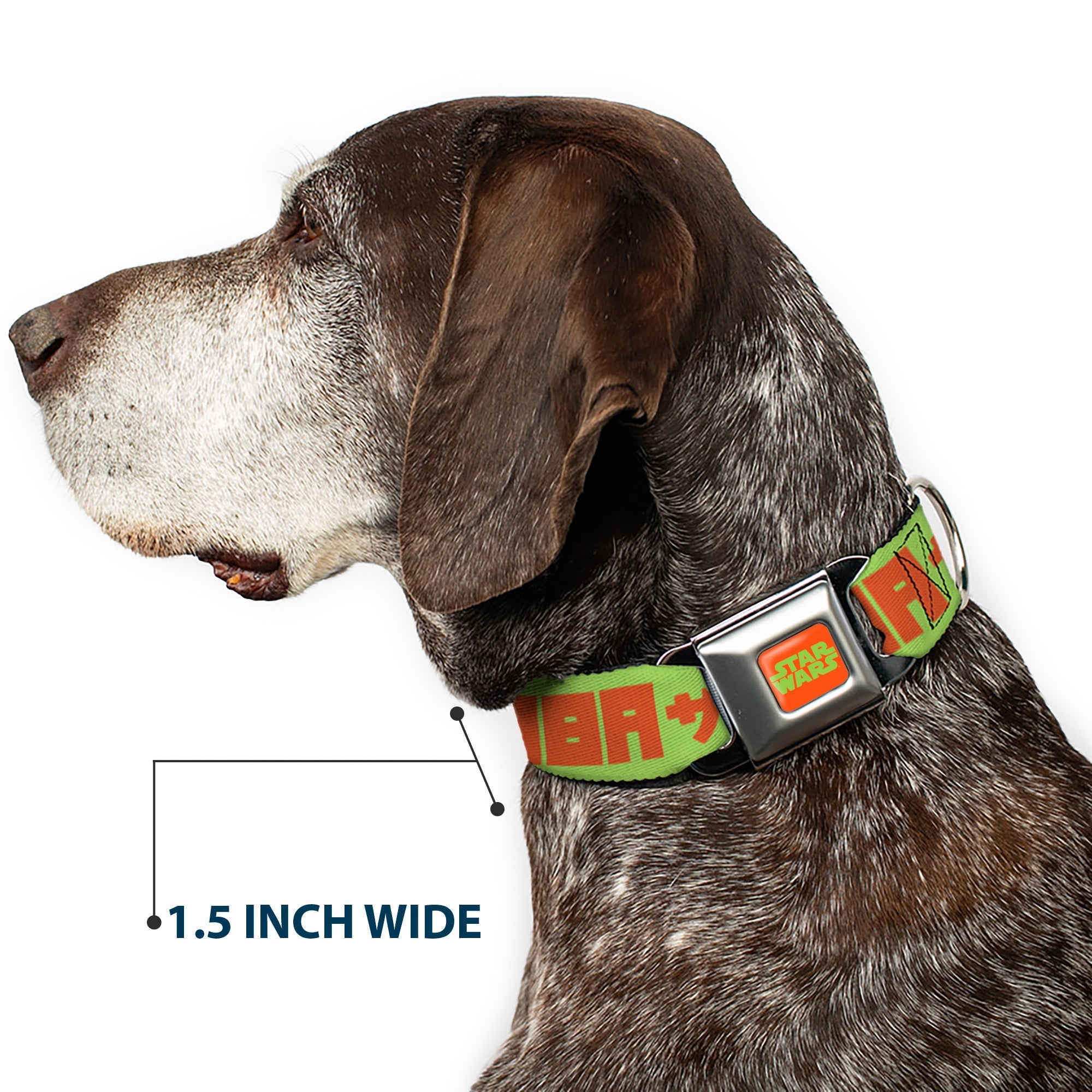 STAR WARS Logo Full Color Orange/Green Seatbelt Buckle Collar - Star Wars JABBA THE HUTT Text and Characters Green/Orange