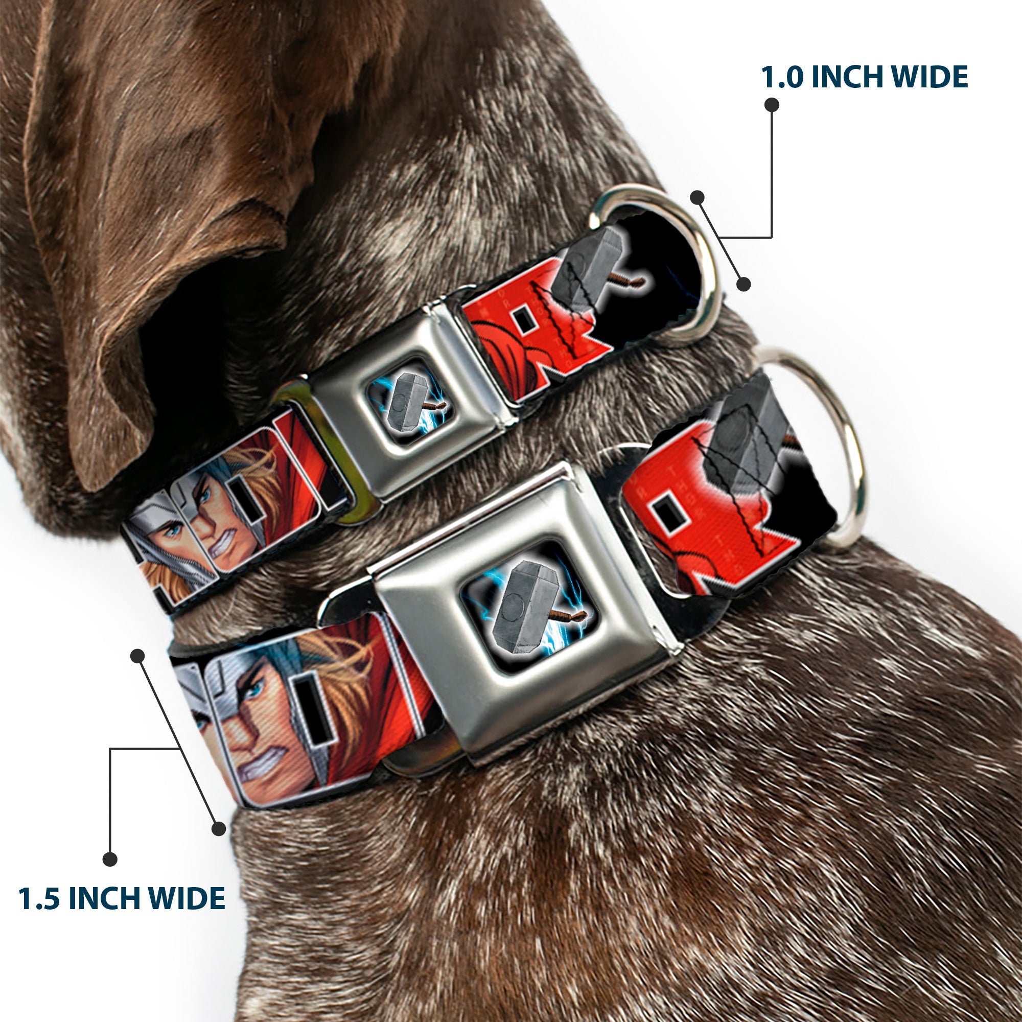 MARVEL AVENGERS Thor's Hammer Full Color Seatbelt Buckle Collar - THOR Poses/Hammer