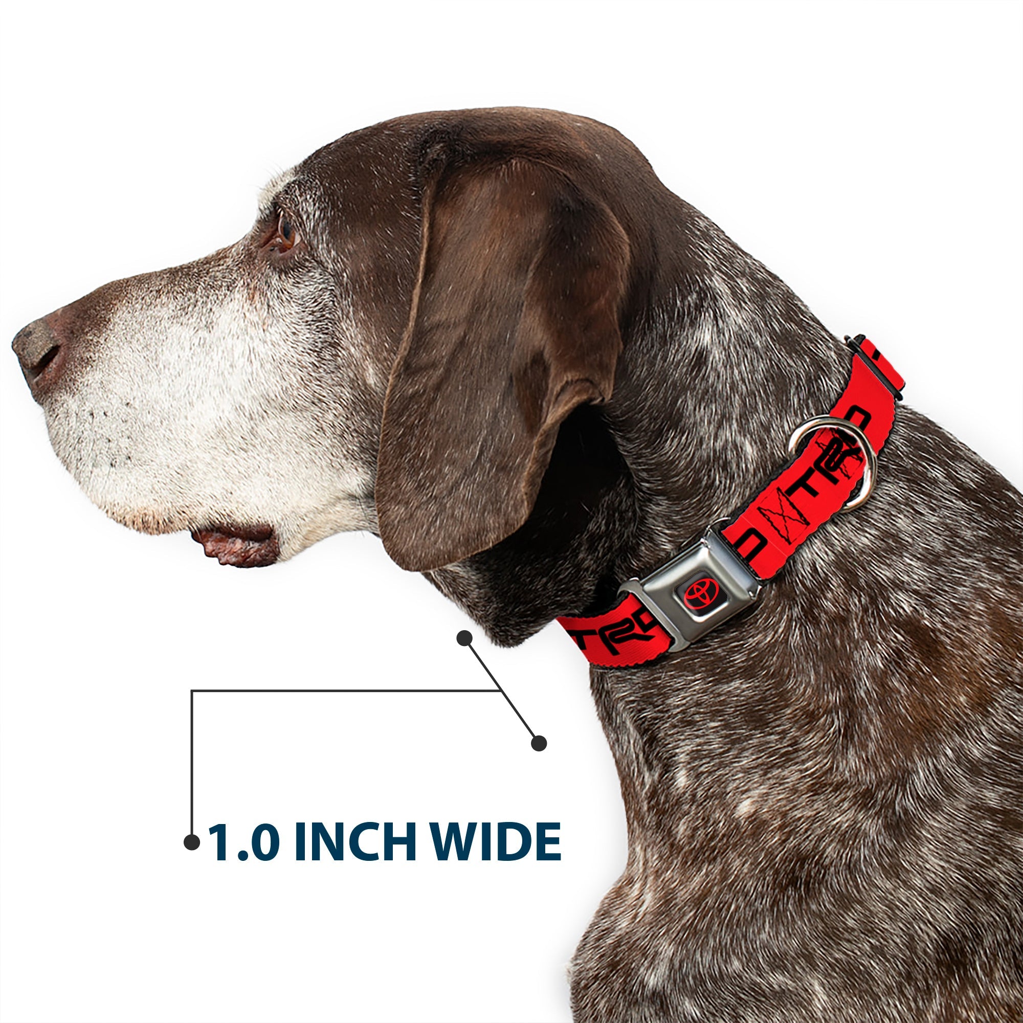 Toyota Logo Full Color Black/Red Seatbelt Buckle Collar - Toyota Racing Development TRD Logo Red/Black