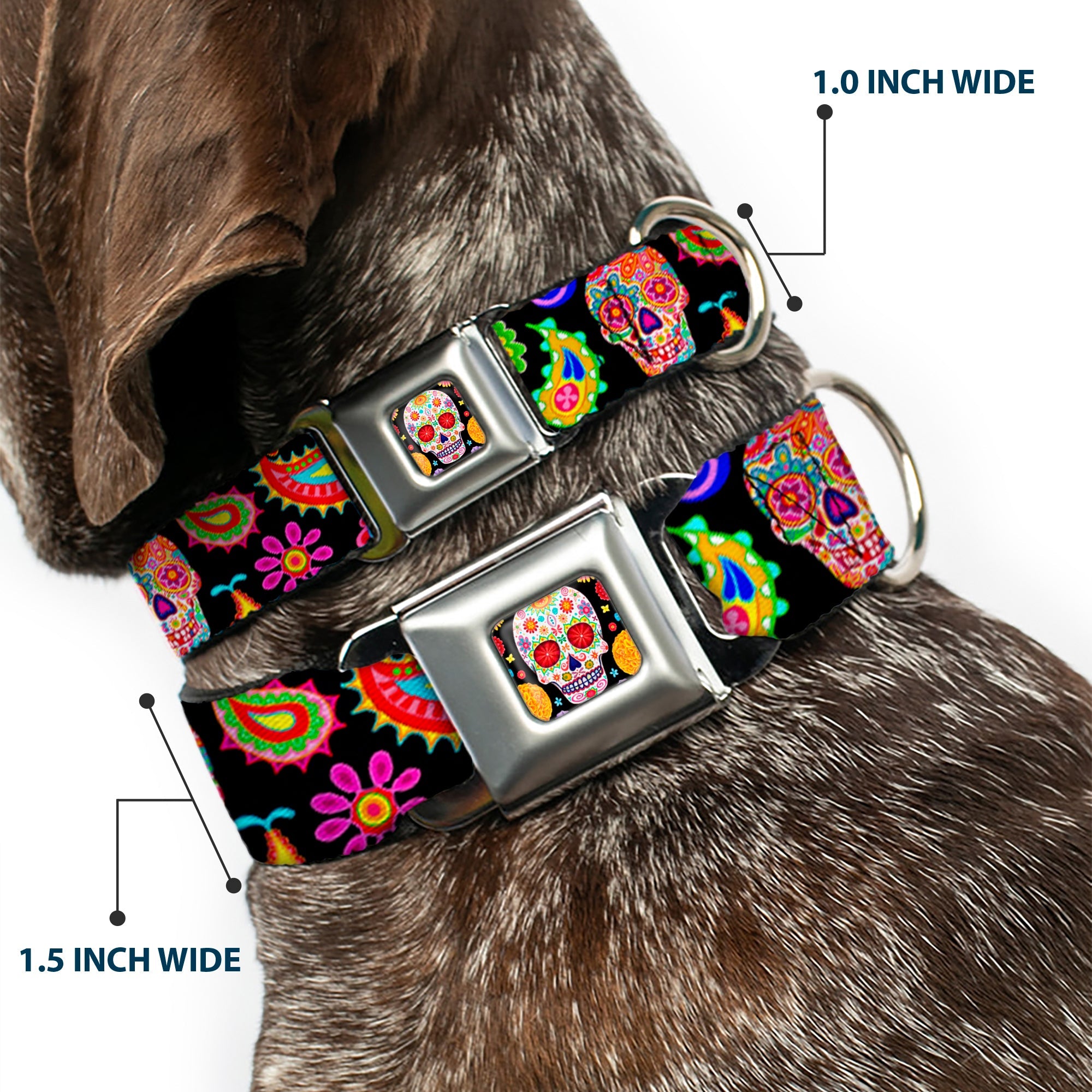 Sugar Skull Starburst Full Color Black/Multi Color Seatbelt Buckle Collar - Bobo Sugar Skull/Paisley Black/Multi Color