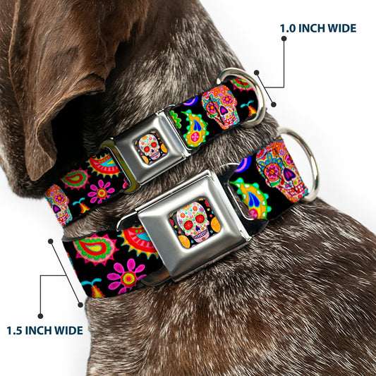 Sugar Skull Starburst Full Color Black/Multi Color Seatbelt Buckle Collar - Bobo Sugar Skull/Paisley Black/Multi Color
