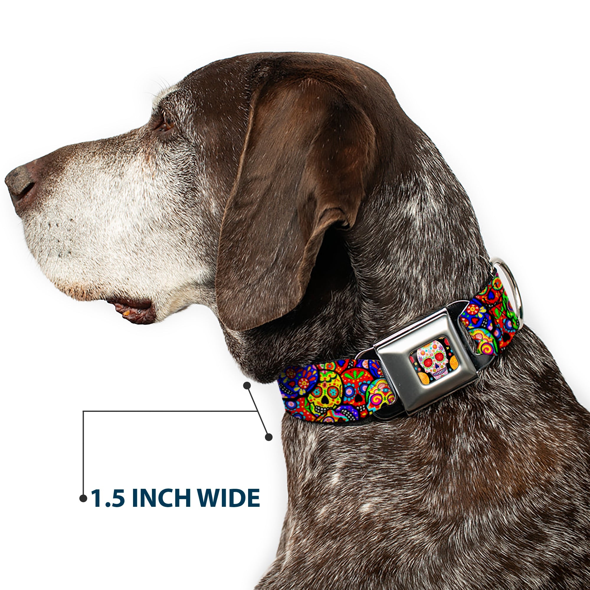 Sugar Skull Starburst Full Color Black/Multi Color Seatbelt Buckle Collar - Colorful Calaveras Stacked Multi Color