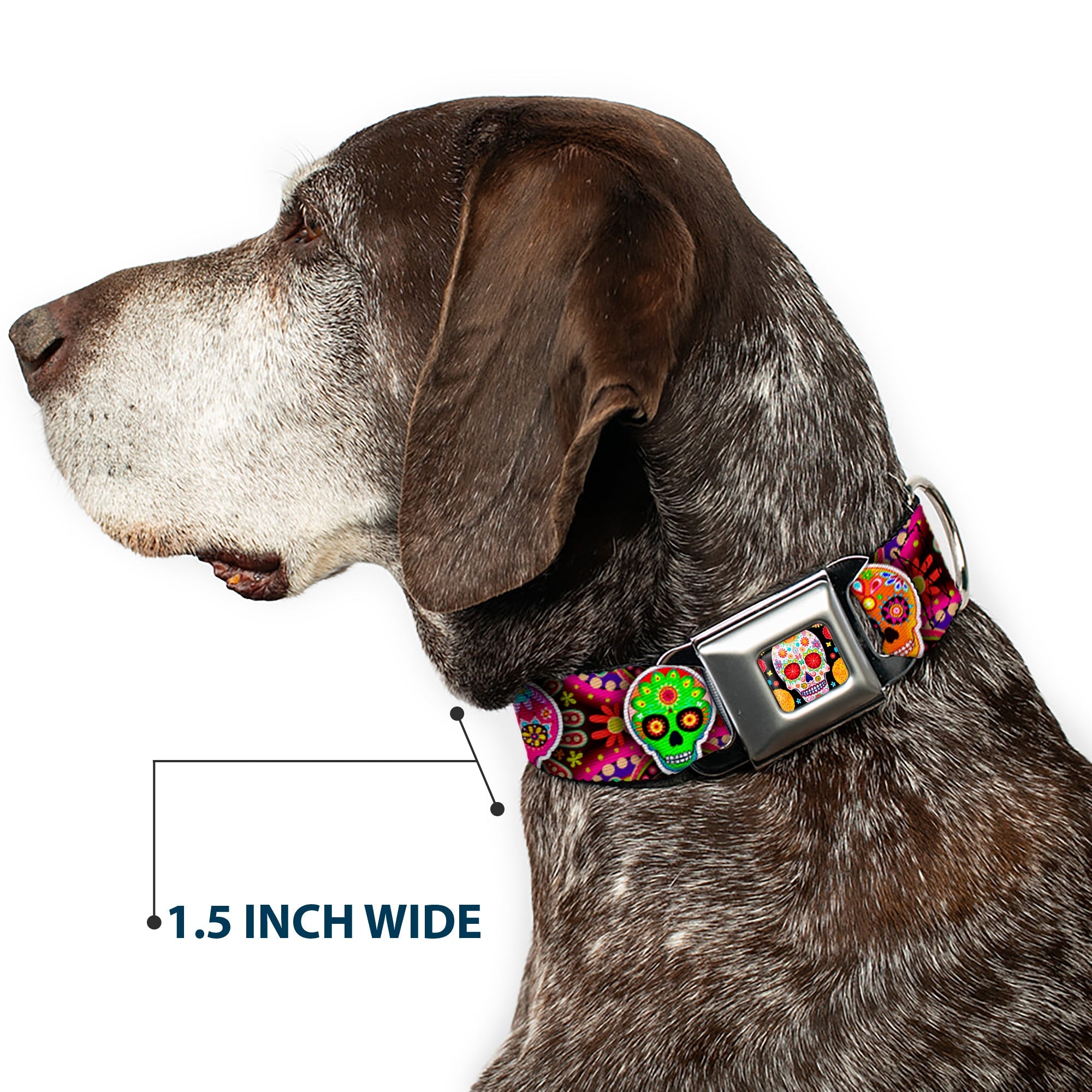 Sugar Skull Starburst Full Color Black/Multi Color Seatbelt Buckle Collar - Six Sugar Skulls Multi Color