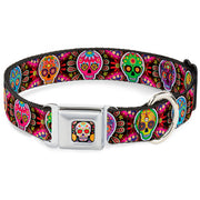 Sugar Skull Starburst Full Color Black/Multi Color Seatbelt Buckle Collar - Six Sugar Skulls Multi Color
