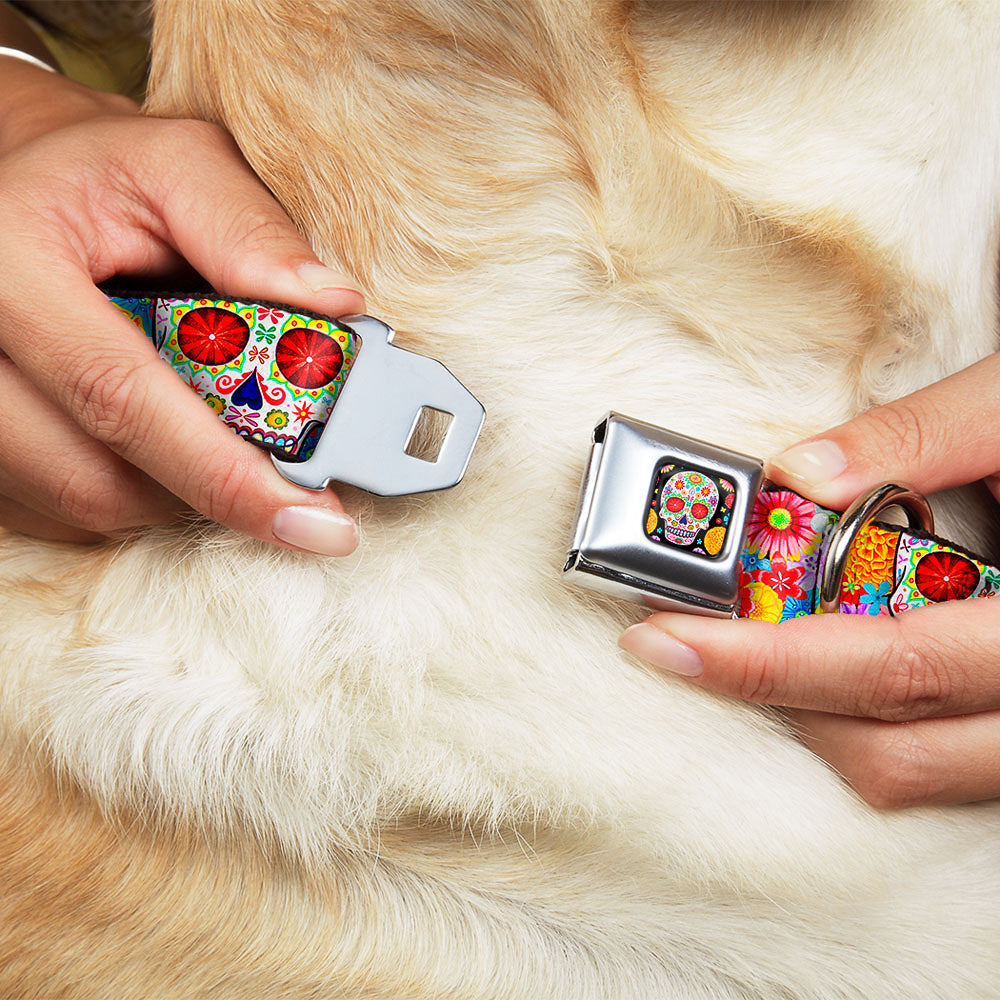Sugar Skull Starburst Full Color Black/Multi Color Seatbelt Buckle Collar - Sugar Skull Starburst White/Multi Color