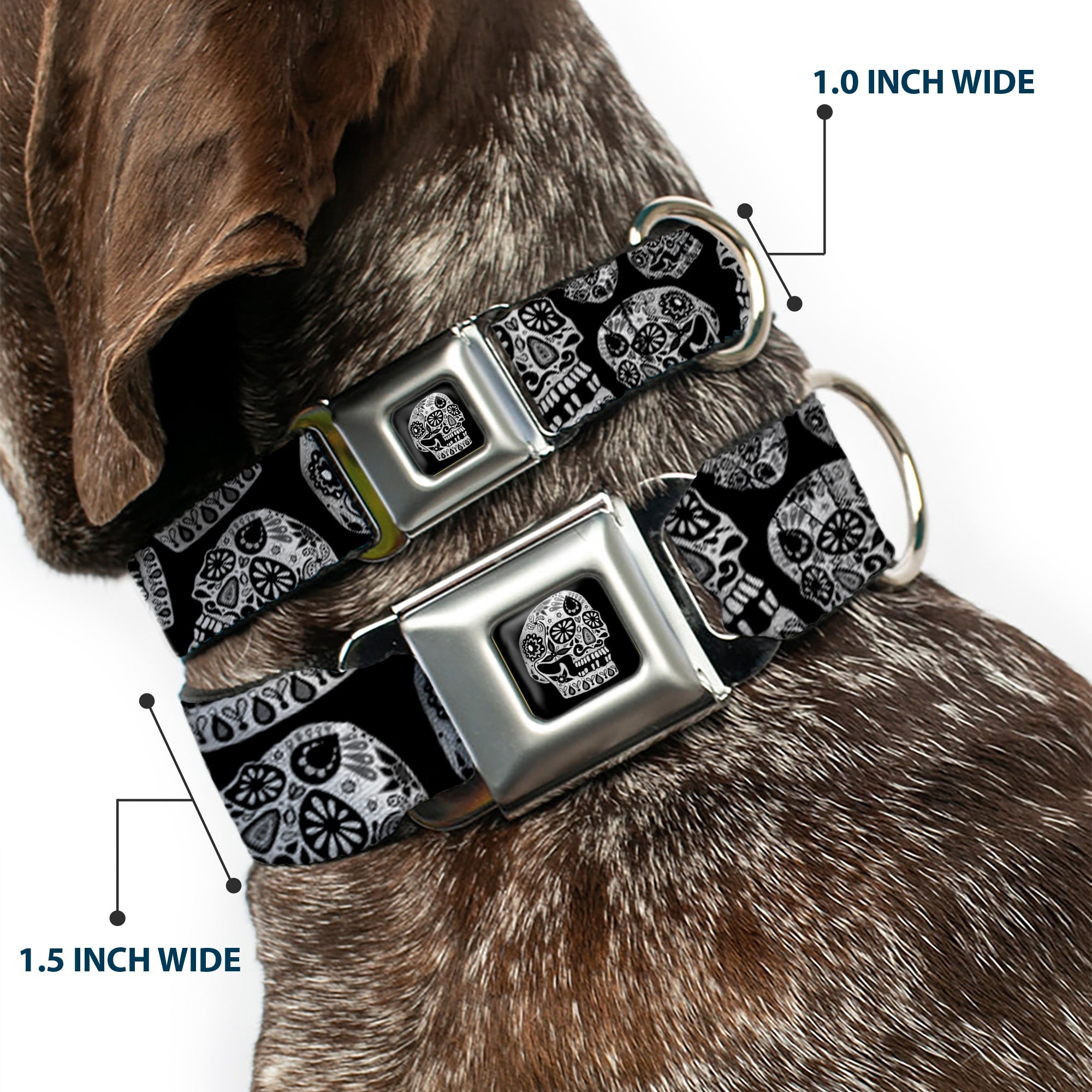 The Dust of Living II Skull Full Color Black/White Seatbelt Buckle Collar - The Dust of Living II Sugar Skulls Black/White