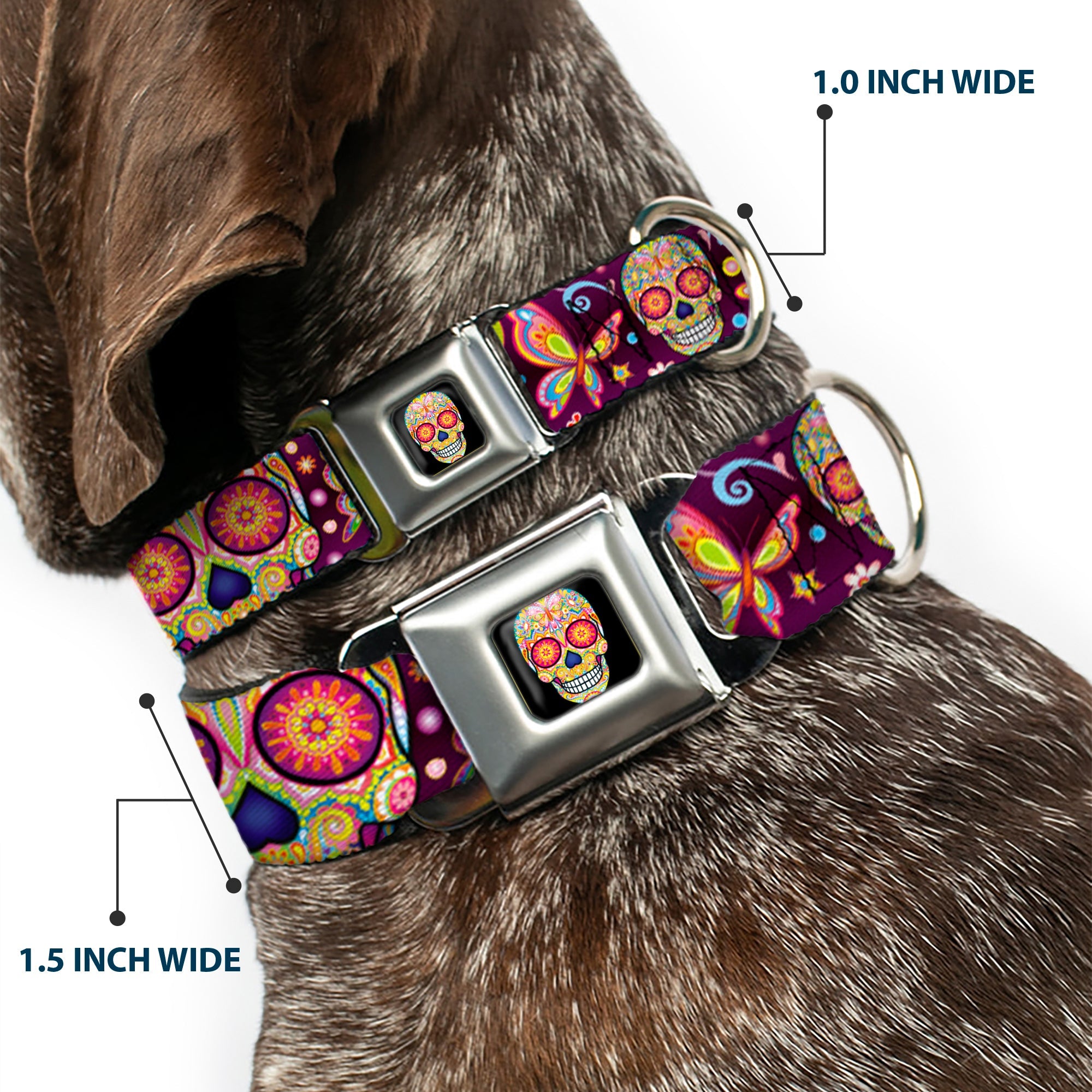 Mariposa Calavera Full Color Black/Multi Color Seatbelt Buckle Collar - Mariposa Calaveras/Butterflies/Flowers Burgundy/Multi Color
