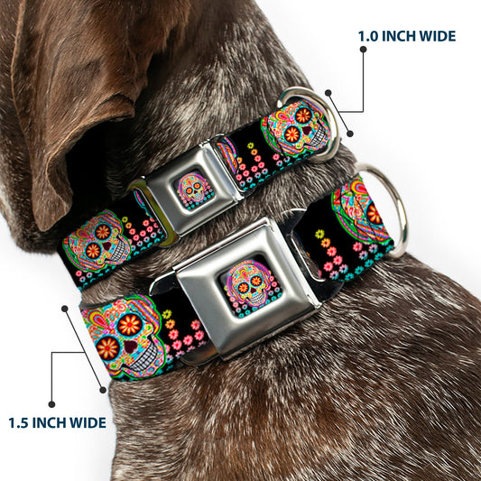 Tranquility Beats Calavera/Floral Equalizer Full Color Black/Multi Color Seatbelt Buckle Collar - Tranquility Beats Calaveras/Floral Equalizer Black/Multi Color