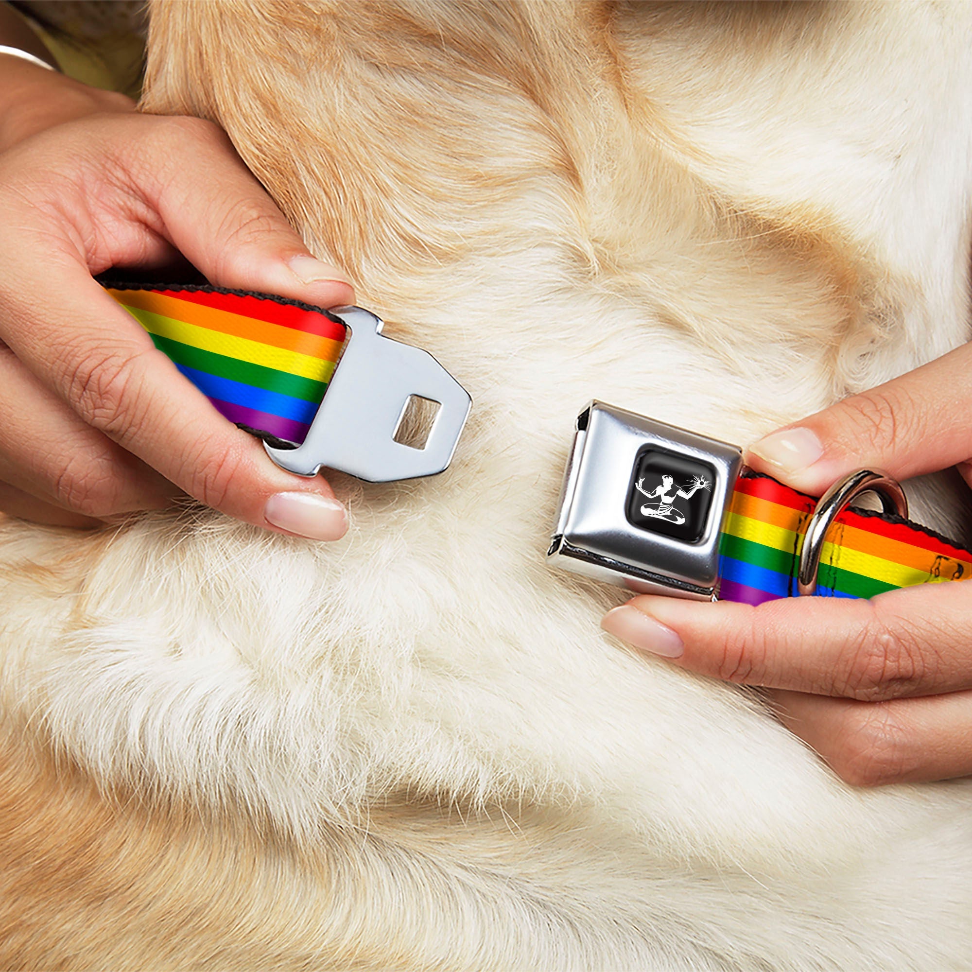 Spirit of Detroit Logo Full Color Black/White Seatbelt Buckle Collar - Flag Pride Rainbow
