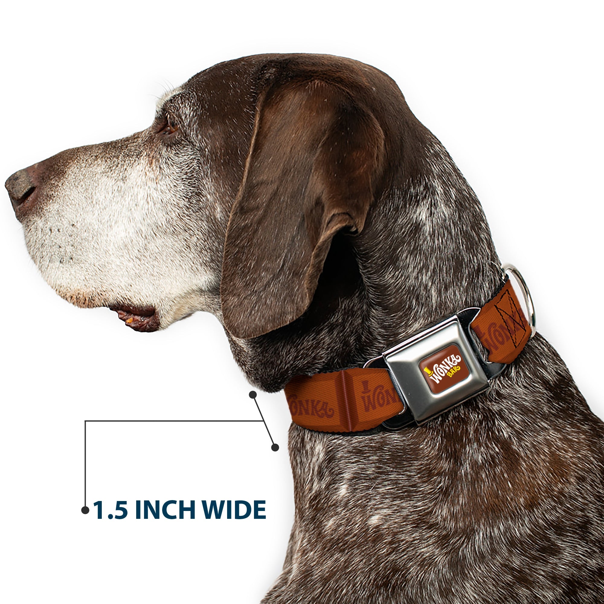 Willy Wonka and the Chocolate Factory WONKA BAR Logo Full Color Brown/Yellow/White Seatbelt Buckle Collar - Willy Wonka and the Chocolate Factory WONKA Chocolate Bar Browns