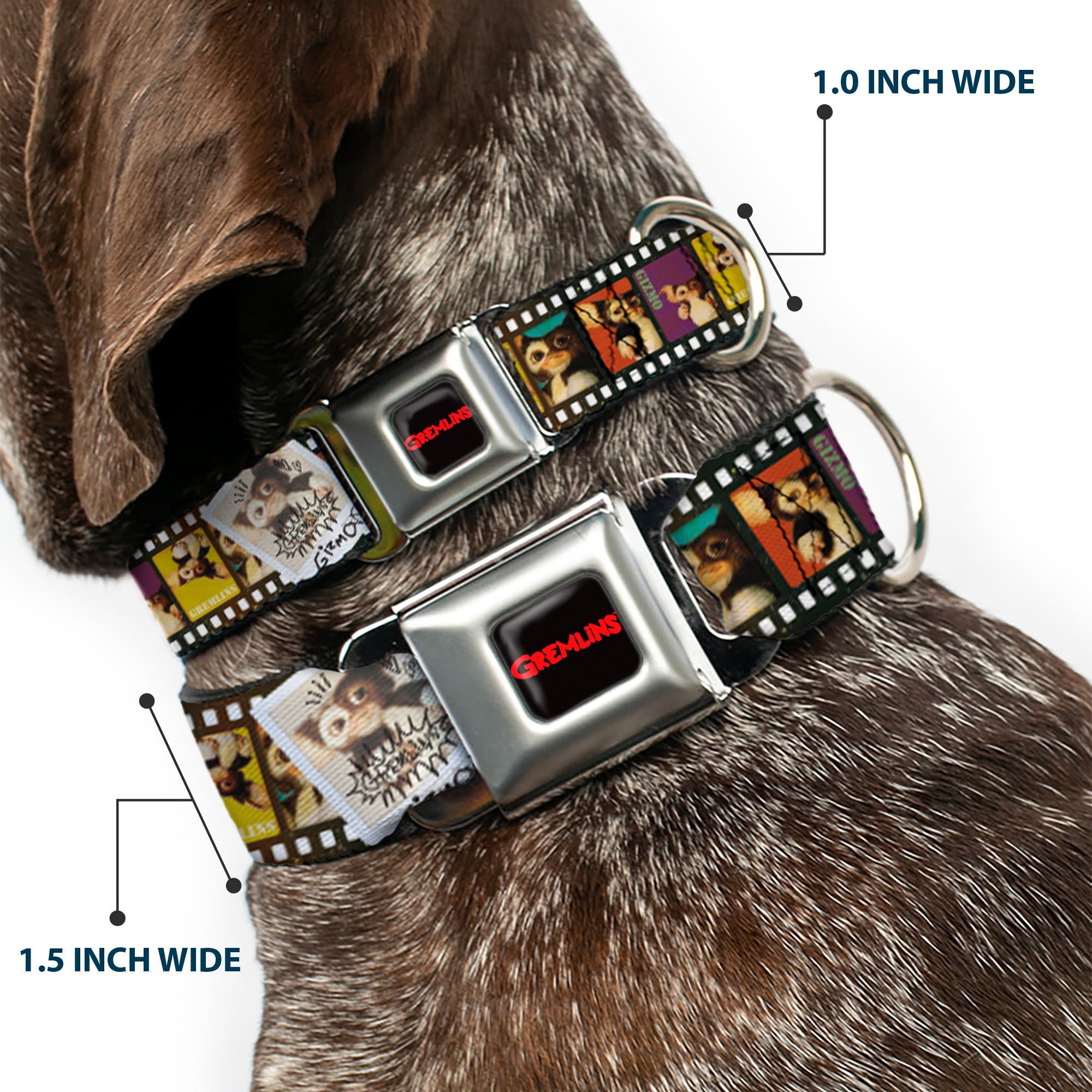 GREMLINS Text Logo Full Color Black/Red Seatbelt Buckle Collar - Gremlins Gizmo Filmstrip Poses Multi Color