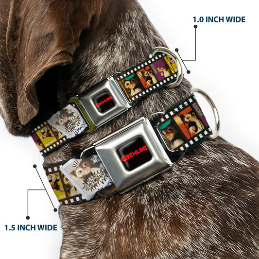 GREMLINS Text Logo Full Color Black/Red Seatbelt Buckle Collar - Gremlins Gizmo Filmstrip Poses Multi Color