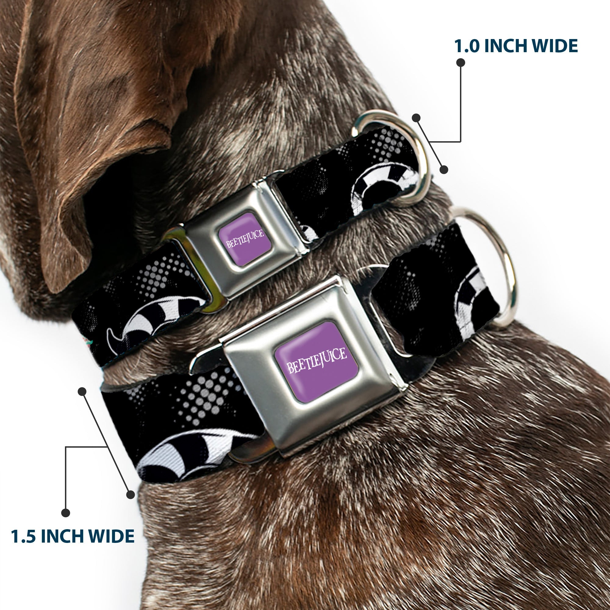 BEETLEJUICE Text Logo Full Color Purple/White Seatbelt Buckle Collar - Beetlejuice Sandworm Healftone Repeat Black/Gray