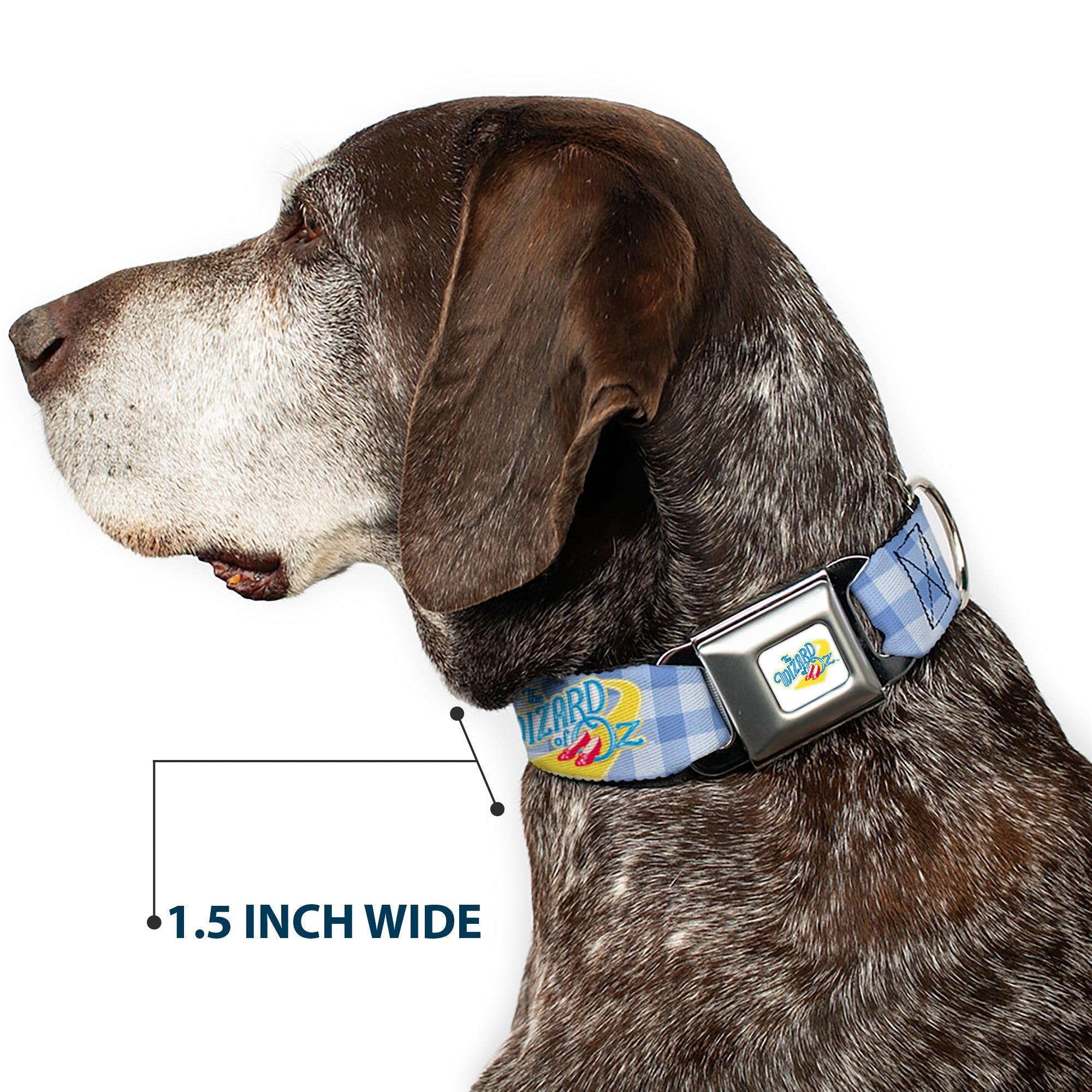 THE WIZARD OF OZ Logo Full Color White Seatbelt Buckle Collar - THE WIZARD OF OZ Logo Gingham Checker Blues