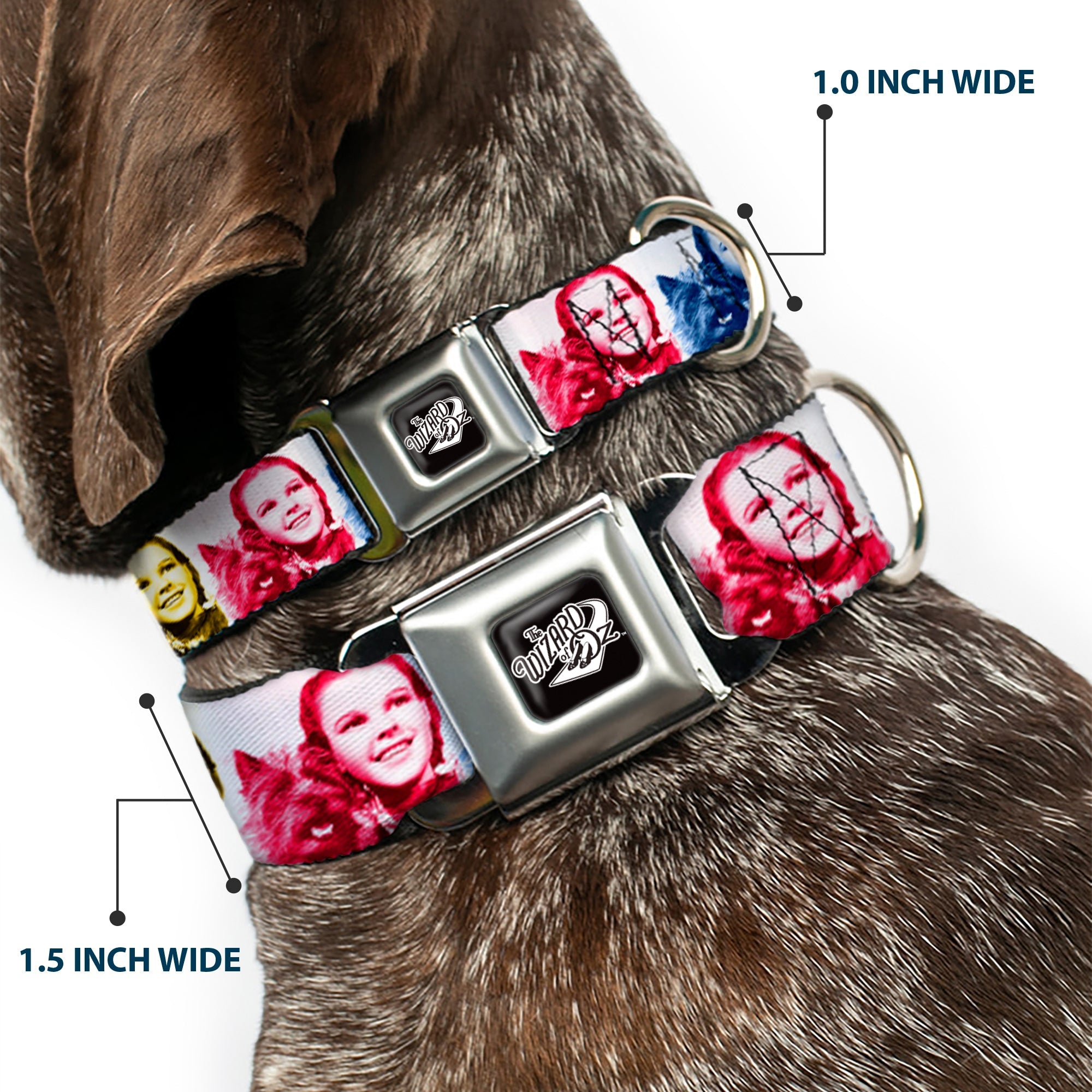 THE WIZARD OF OZ Title Logo Full Color Black/White Seatbelt Buckle Collar - The Wizard of Oz Dorothy and Toto Pose Blocks Blues/Yellows/Reds