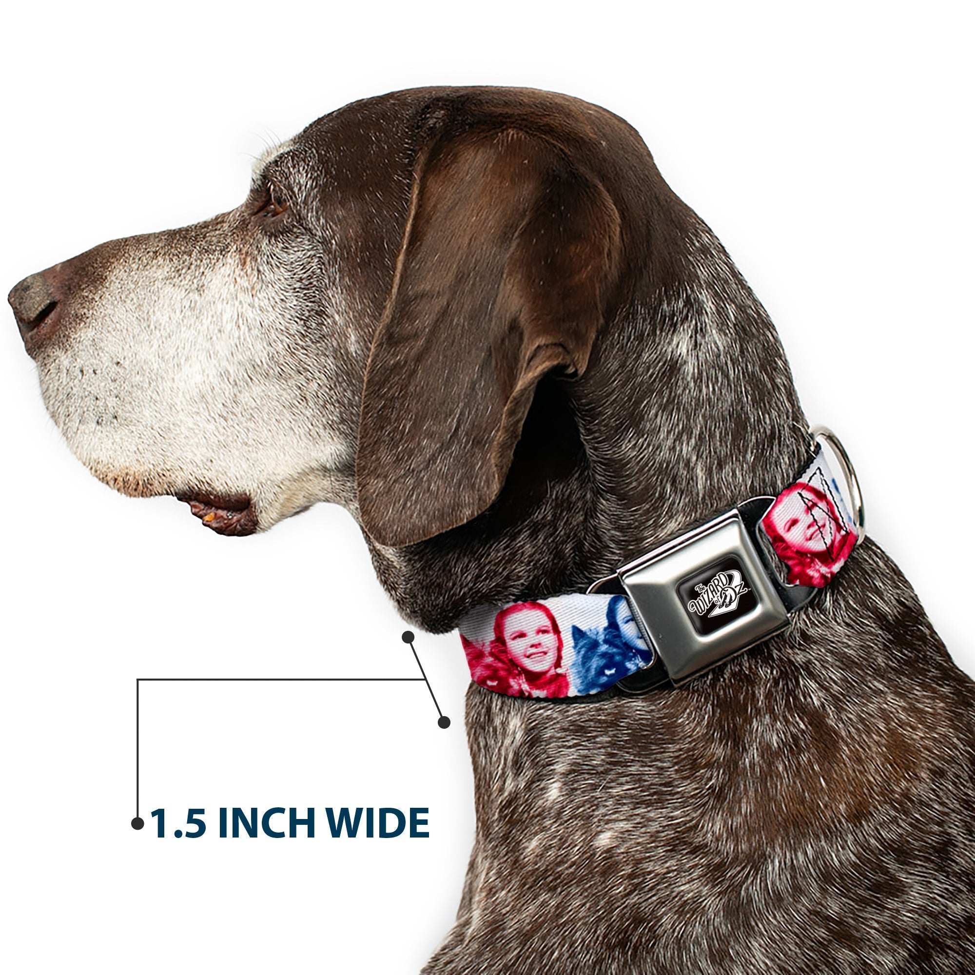 THE WIZARD OF OZ Title Logo Full Color Black/White Seatbelt Buckle Collar - The Wizard of Oz Dorothy and Toto Pose Blocks Blues/Yellows/Reds
