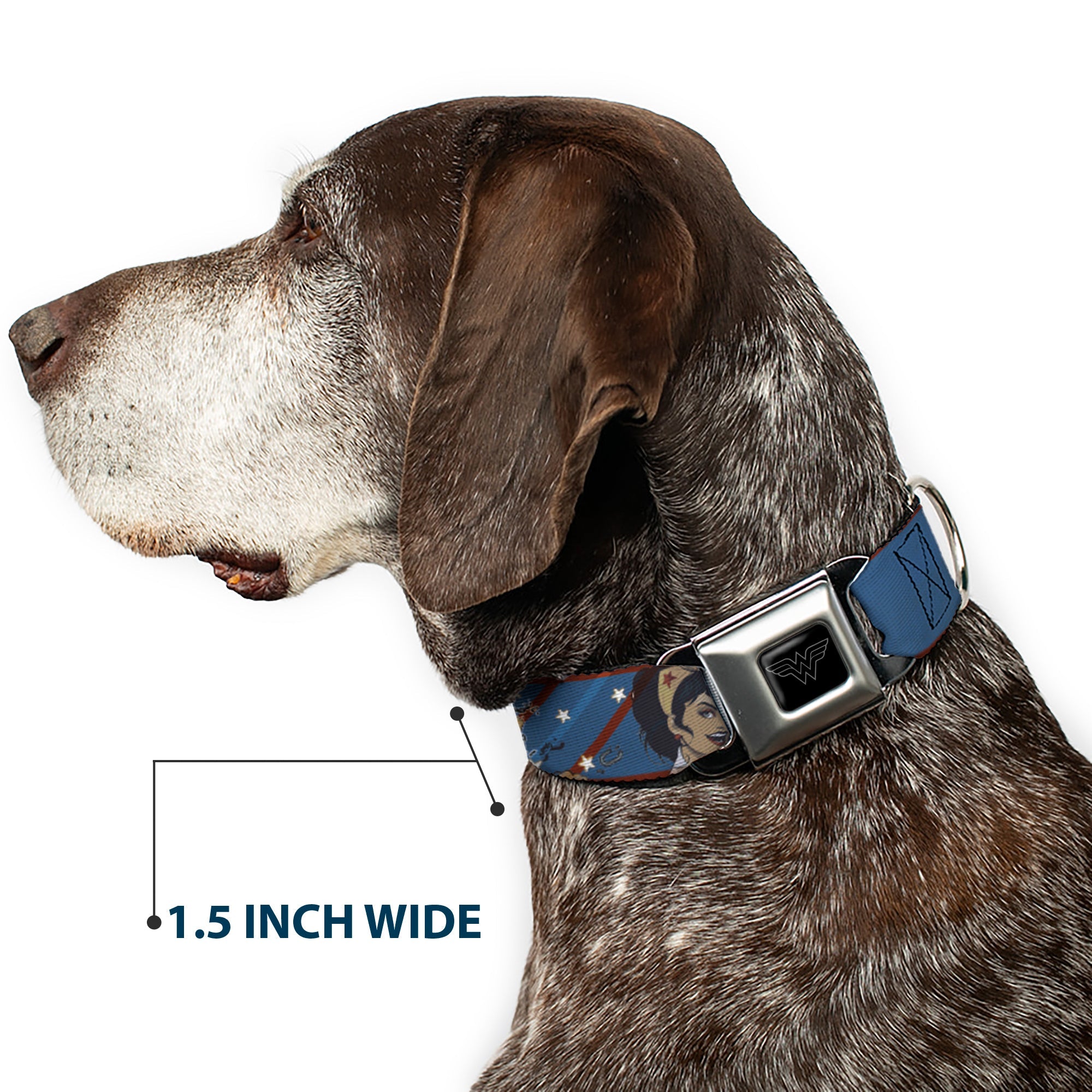 Wonder Woman Logo Black/Silver Seatbelt Buckle Collar - WONDER WOMAN/Bombshell Pose Blue/Red/White