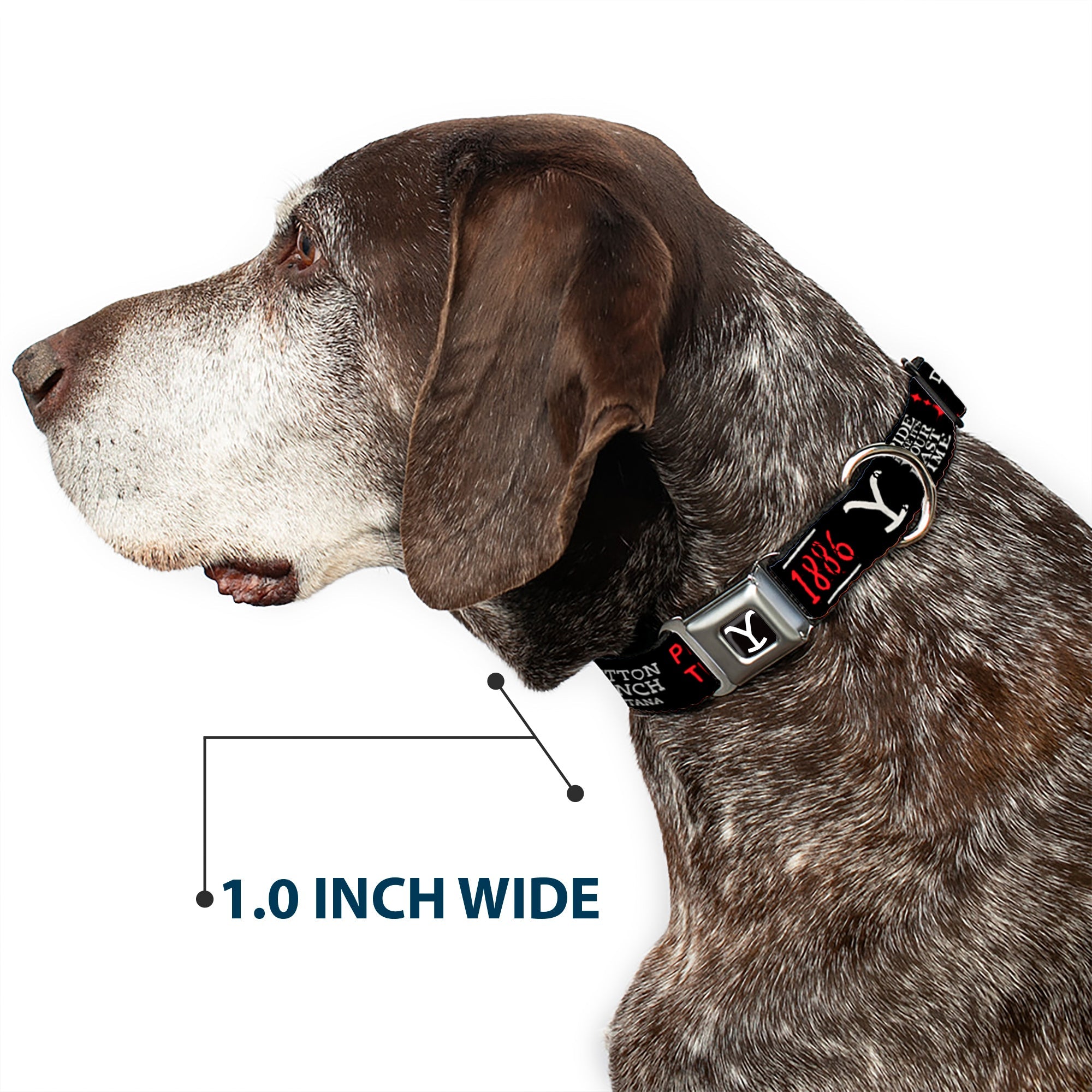 Yellowstone Y Logo Full Color Black/White Seatbelt Buckle Collar - YELLOWSTONE Dutton Ranch 1886 Icons Black/White/Red