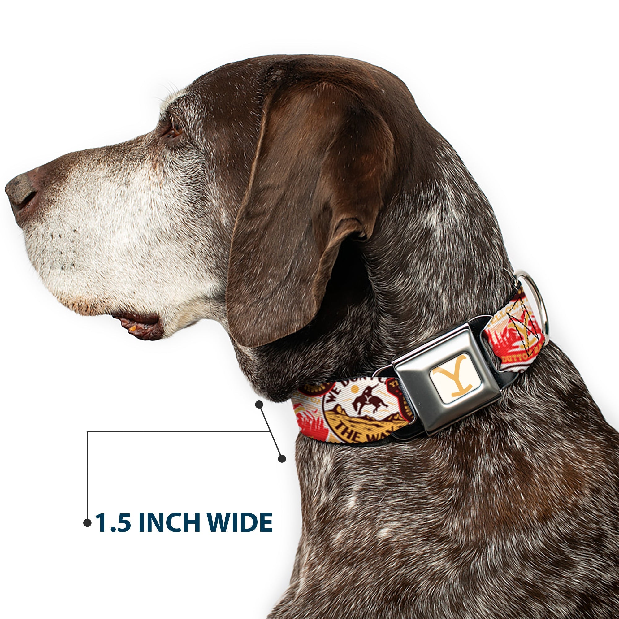 Yellowstone Y Logo Full Color White/Yellow Seatbelt Buckle Collar - Yellowstone Patches Stacked Browns/Reds/Yellows