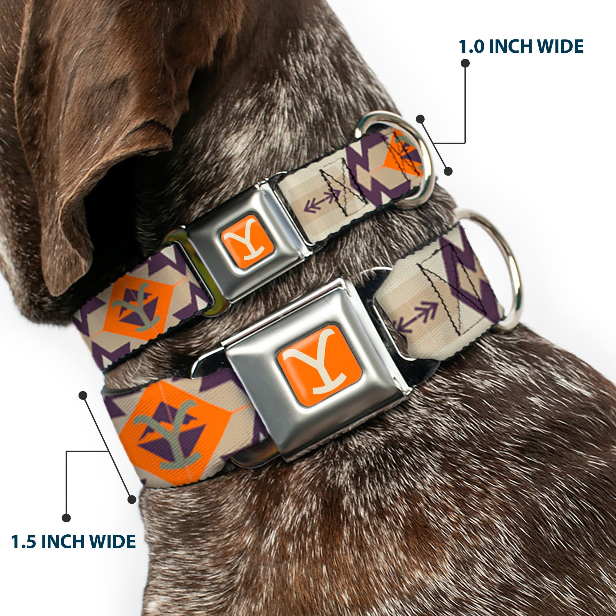 Yellowstone Y Logo Weathered Full Color Orange/Beige Seatbelt Buckle Collar - Yellowstone Y Logo Native American Tribal Tans/Blue/Orange