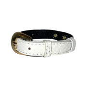 XS/S 7-14  Matte White Custom Snake Collar/Custom Gold Oval Italian Hardware