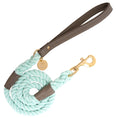 Load image into Gallery viewer, Leash - Desert Mint
