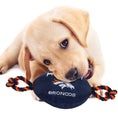 Load image into Gallery viewer, Denver Broncos Nylon Football

