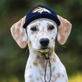 Load image into Gallery viewer, NFL Denver Broncos Dog Hat
