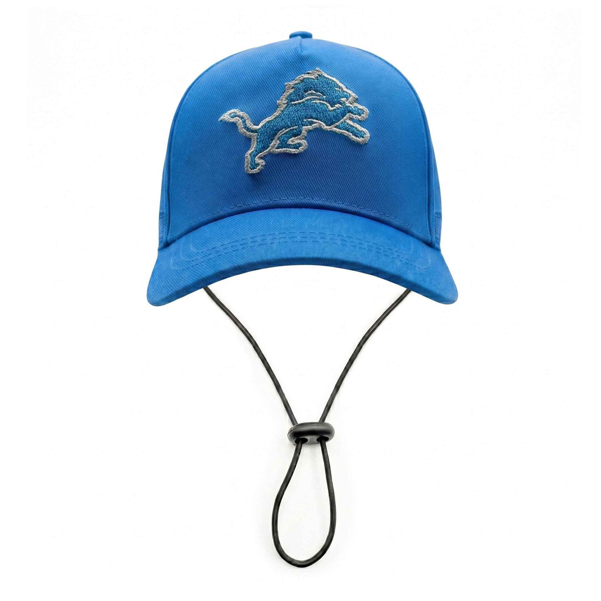 NFL Detroit Lions Dog Hat