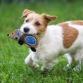 Load image into Gallery viewer, Detroit Lions Plush Hedgehog Toy

