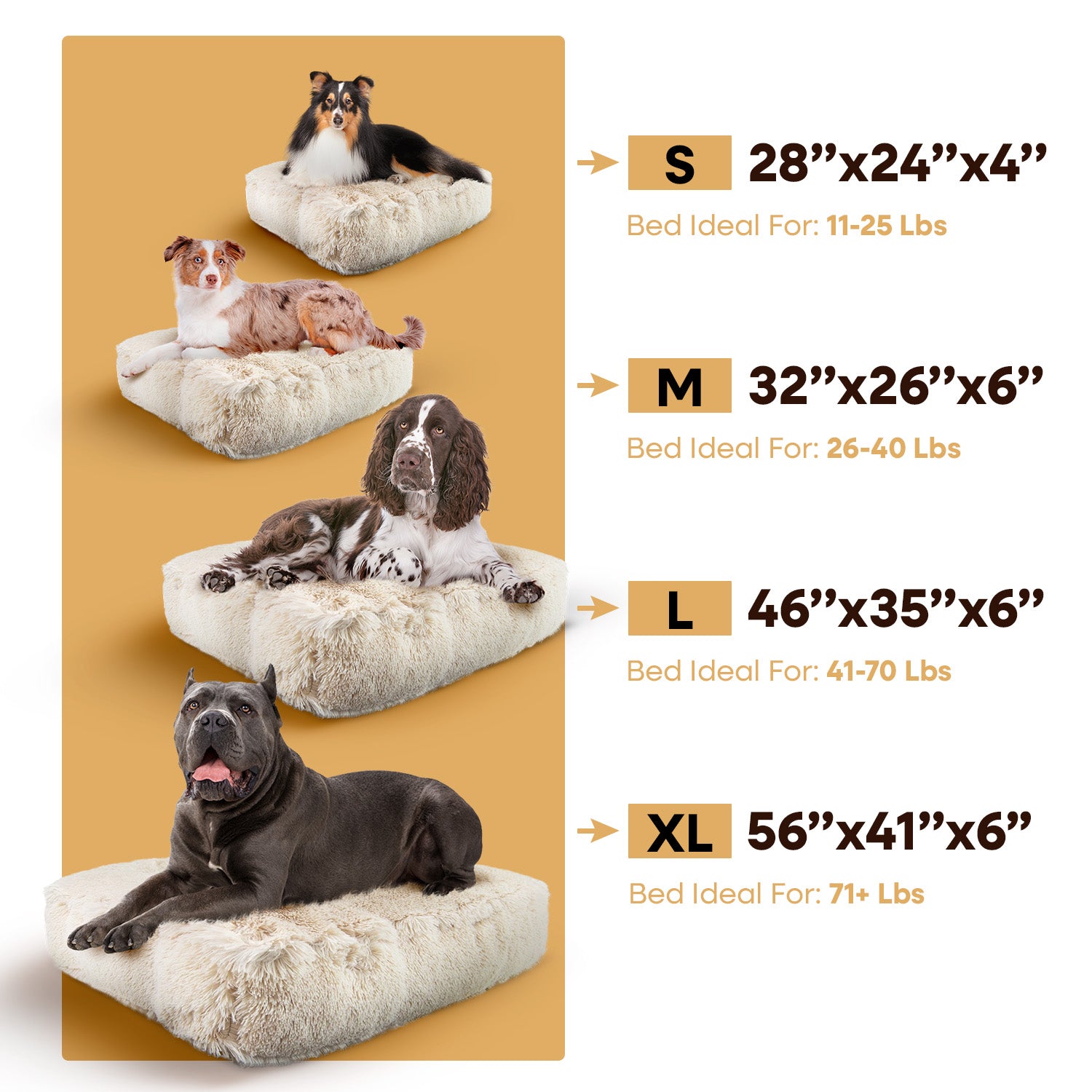 Rectangle Bed - Southlake Paws