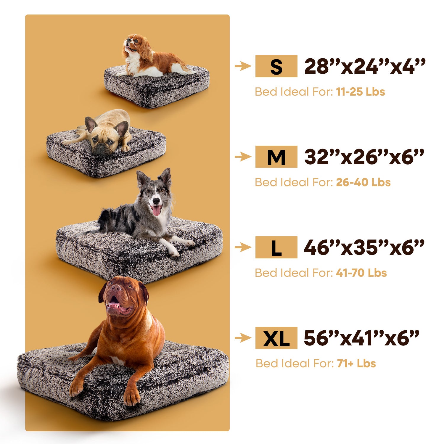 Rectangle Bed - Southlake Paws