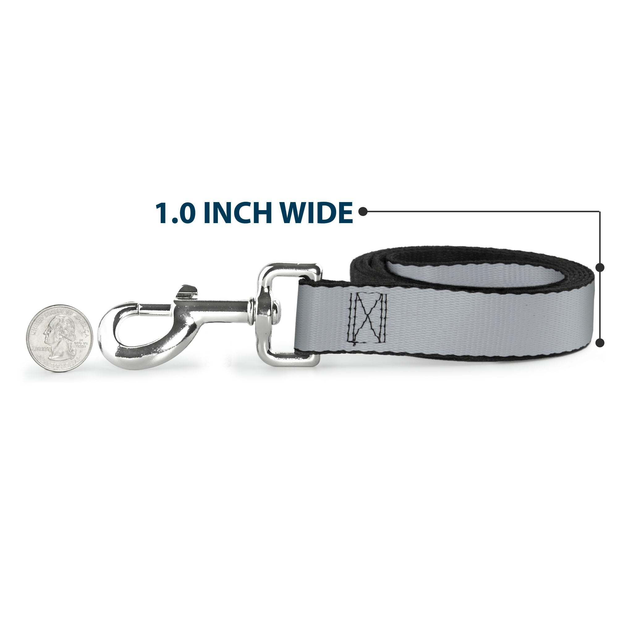 Dog Leash - Silver