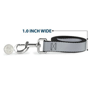 Dog Leash - Silver