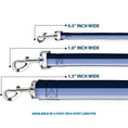 Load image into Gallery viewer, Dog Leash - Spectrum Blue

