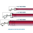 Load image into Gallery viewer, Dog Leash - Spectrum Pink

